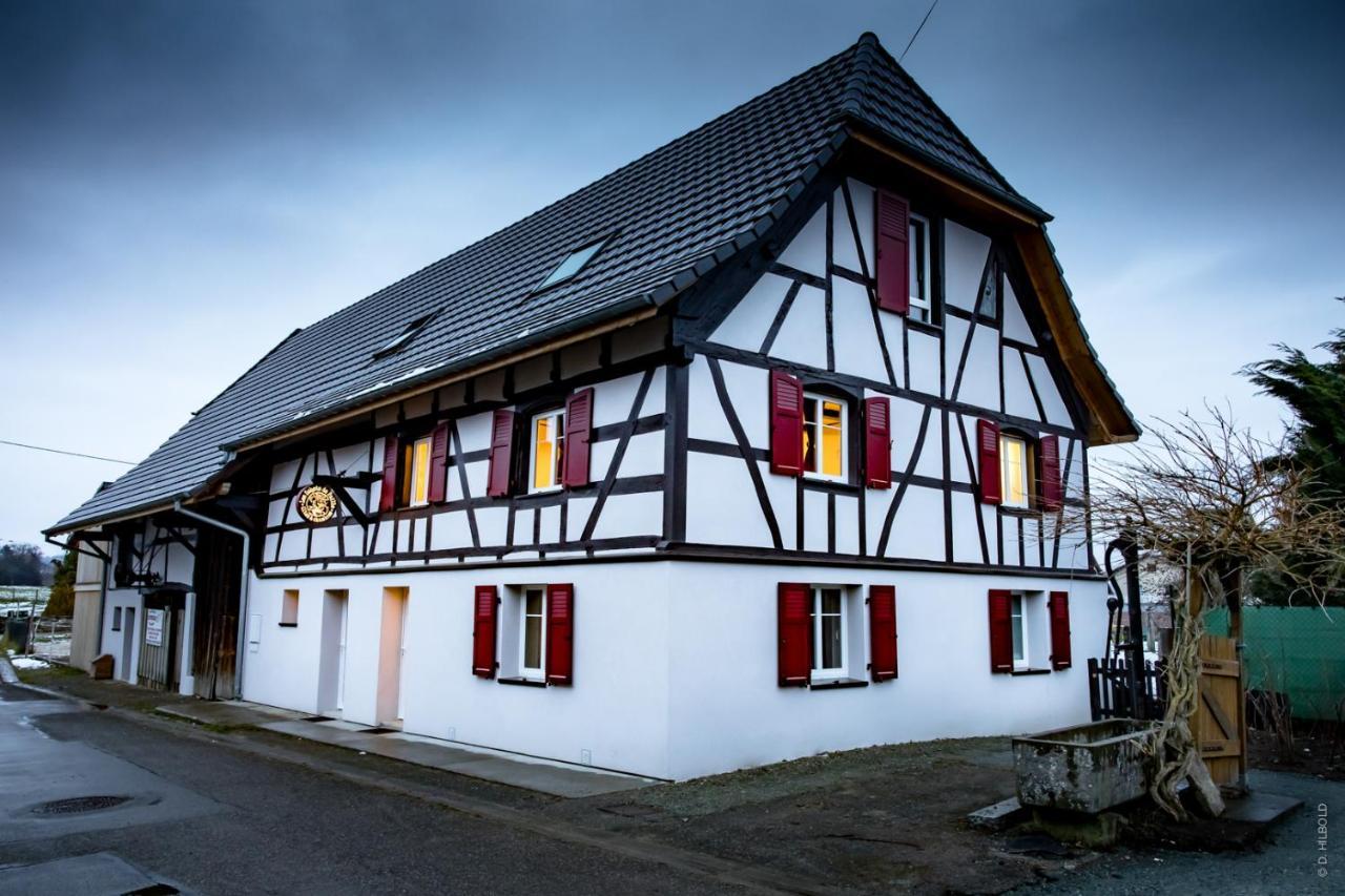 Gite Les Sabots De Paille, Alsace Haut-Rhin Ballesdorf Экстерьер фото