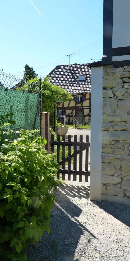 Gite Les Sabots De Paille, Alsace Haut-Rhin Ballesdorf Экстерьер фото